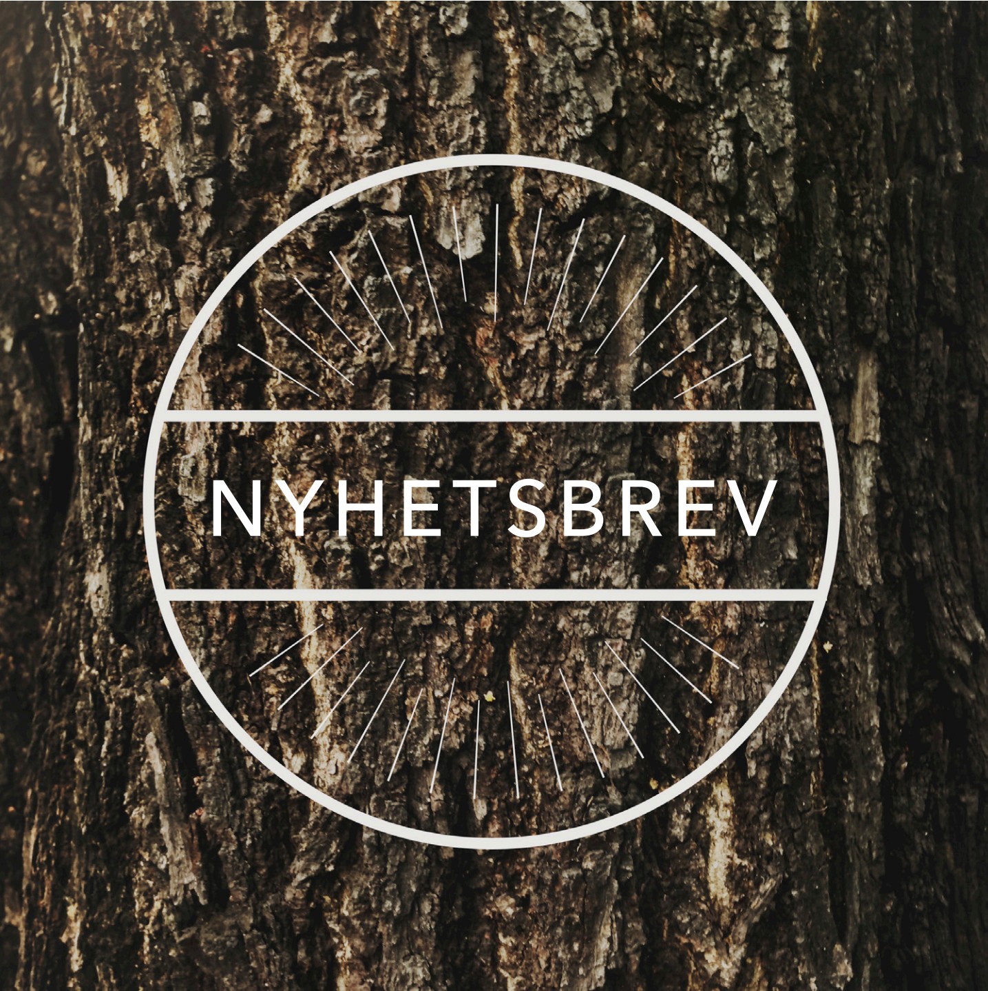 En bild på en trädstam med texten nyhetsbrev ovanpå